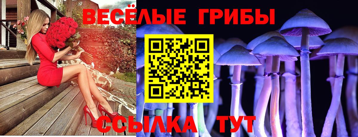 Псилоцибиновые грибы мицелий Волхов