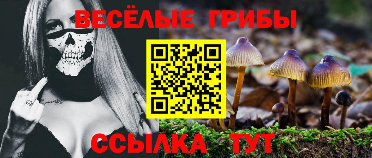 Псилоцибиновые грибы прущие грибы  Вход с VPN  Волхов 