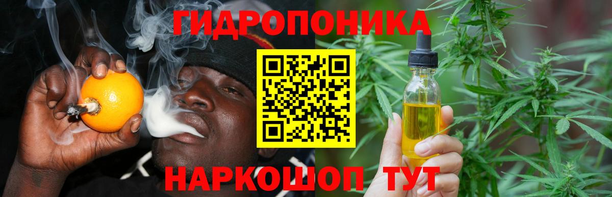 Каннабис Ganja Волхов